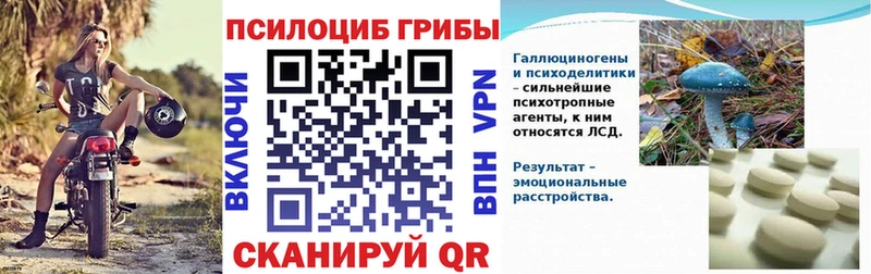 Галлюциногенные грибы Psilocybe  где найти наркотики  hydra ССЫЛКА  Удомля 